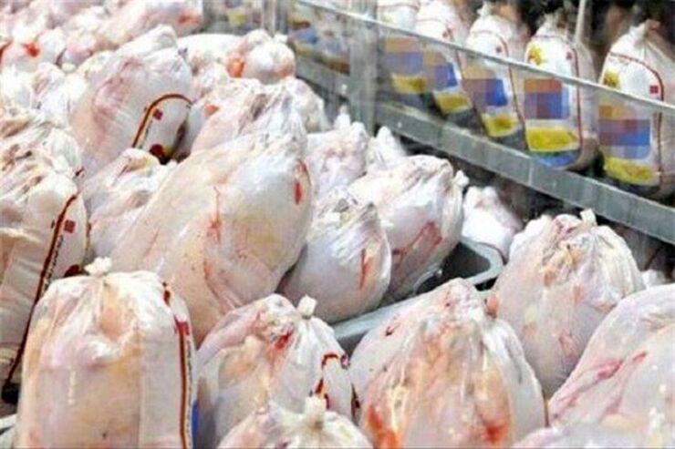 قیمت مصوب مرغ در سطح عرضه ۶۳ هزار تومان است