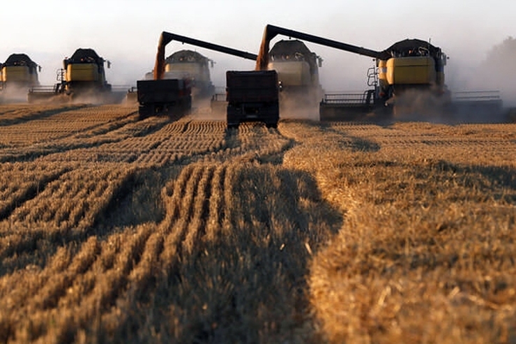 تصمیم روسیه درباره تامین غلات جهان | به کشور‌های فقیر، ۵۰۰ هزار تن غلات می‌دهیم