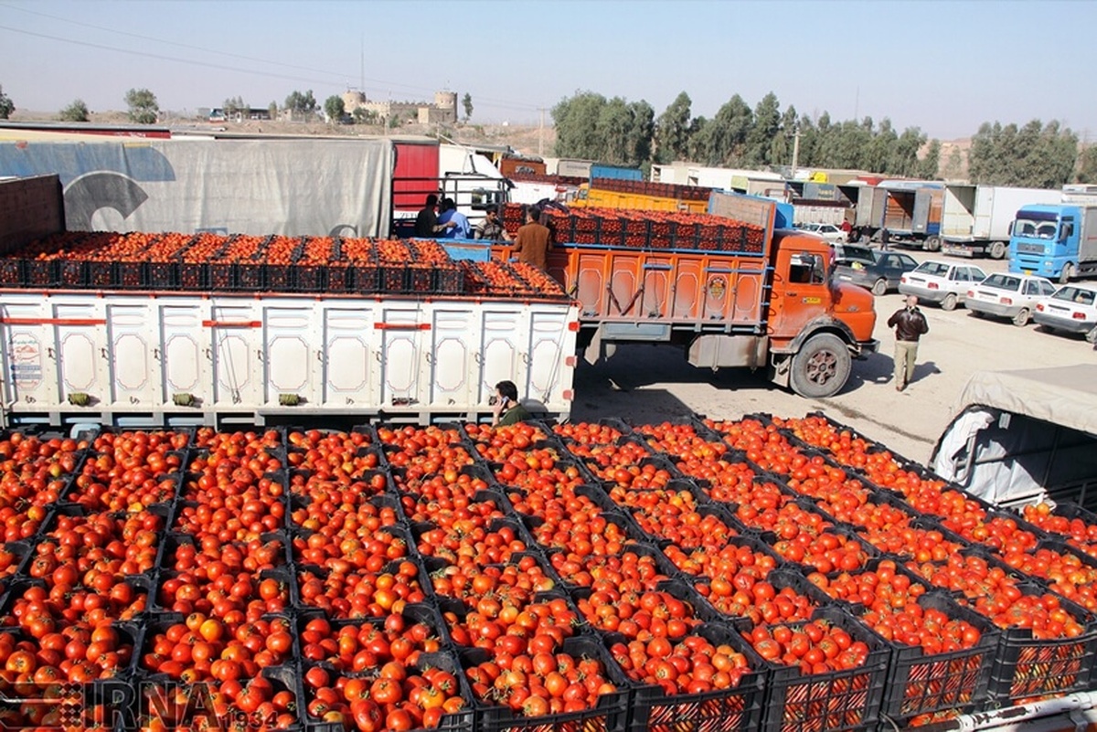 صادرات سالانه ۳۵۰ هزار تن محصول کشاورزی از مرز دوغارون به افغانستان