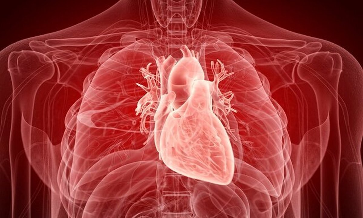 اینفوگرافی| از کجا بدانیم قلبتان سالم است؟