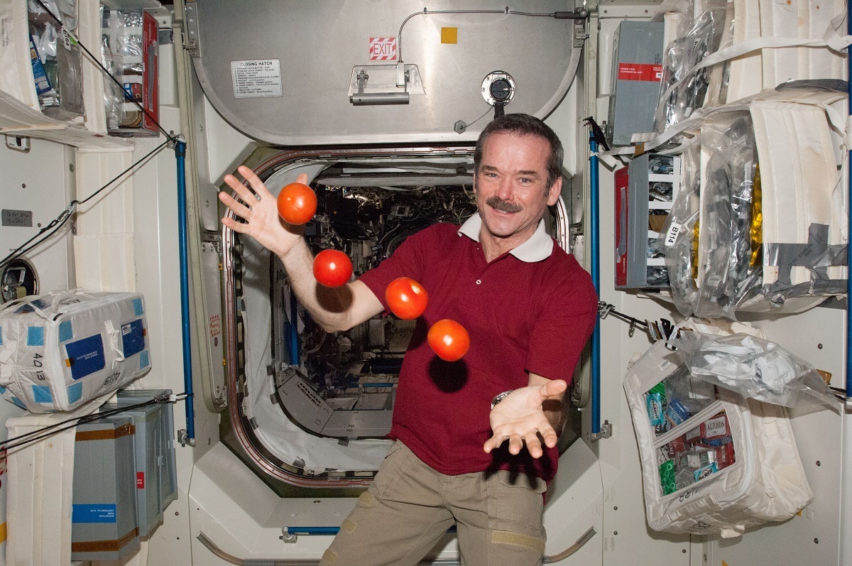 آغاز پرورش گوجه فرنگی در ایستگاه بین‌المللی فضایی