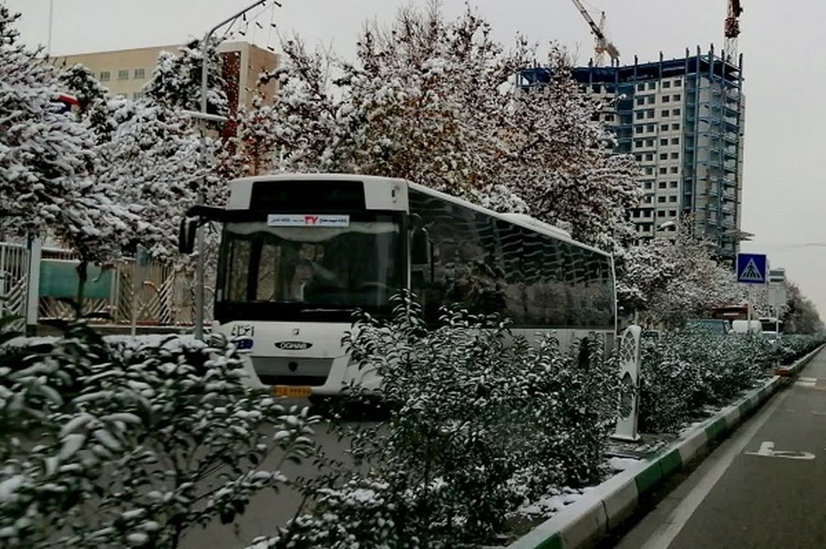 شهروند خبرنگار | نمایی از اولین برف پاییزی مشهد در آذرماه ۱۴۰۱