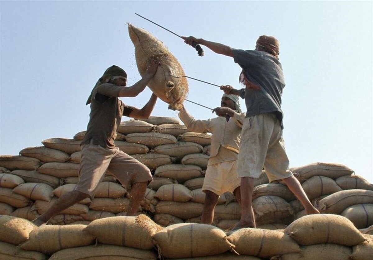 واردات برنج و چای هندی ممنوع شده است؟ (۱۶ آذرماه ۱۴۰۱)