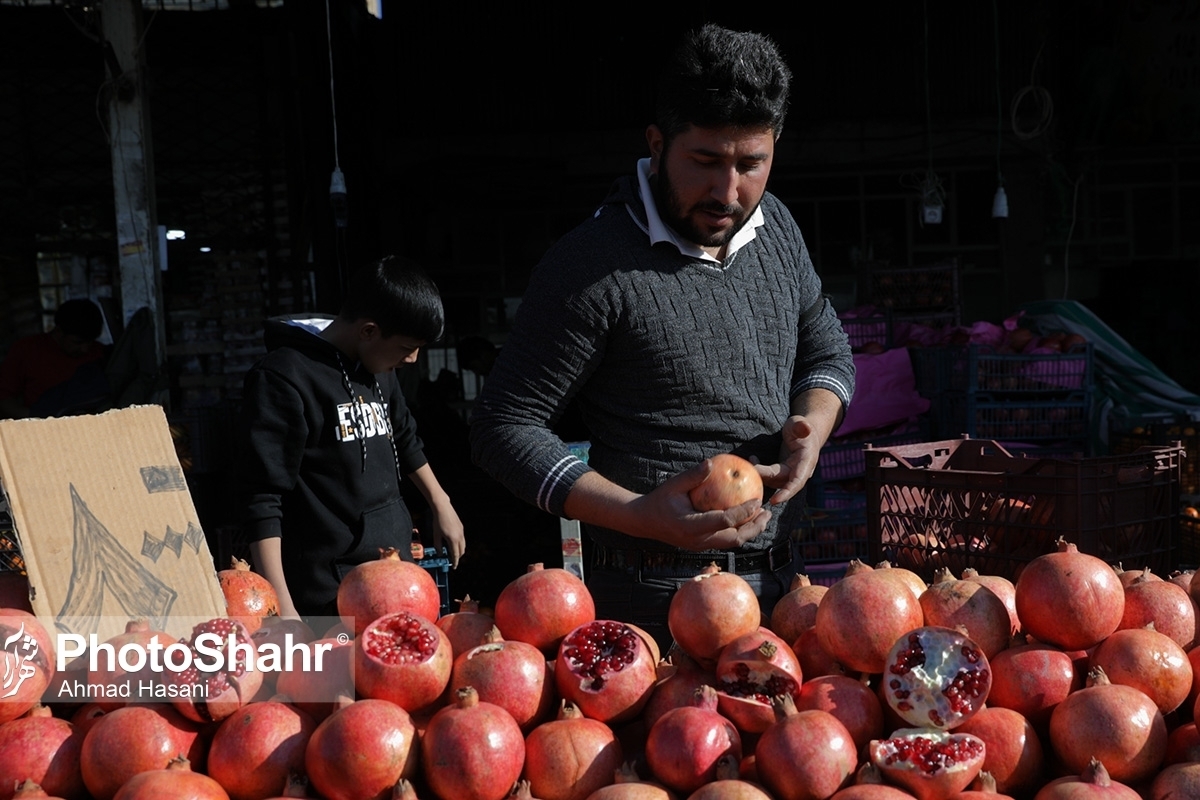 قیمت میوه‌های شب یلدا ۱۴۰۱ اعلام شد
