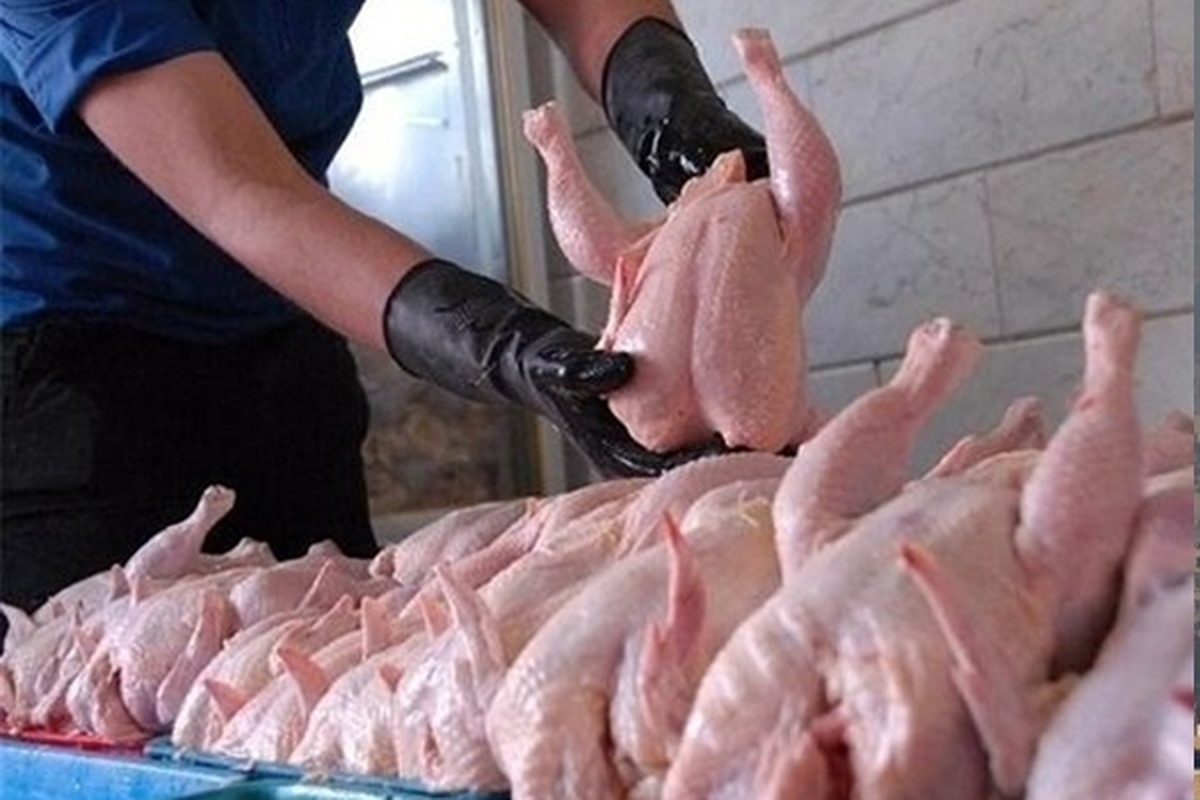 پیش‌بینی‌ها از قیمت مرغ تا شب یلدا