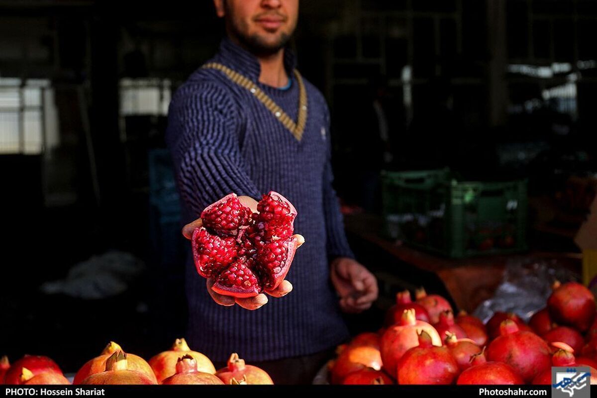 طرح نظارتی اصناف ویژه شب یلدا در مشهد | قیمت میوه از مبدأ تا مقصد رصد می‌شود