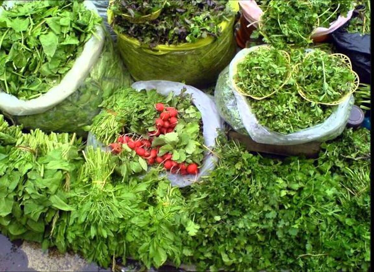 هماهنگی لازم برای ورود سبزیجات به بازار مشهد در ایام ماه رمضان انجام شده است