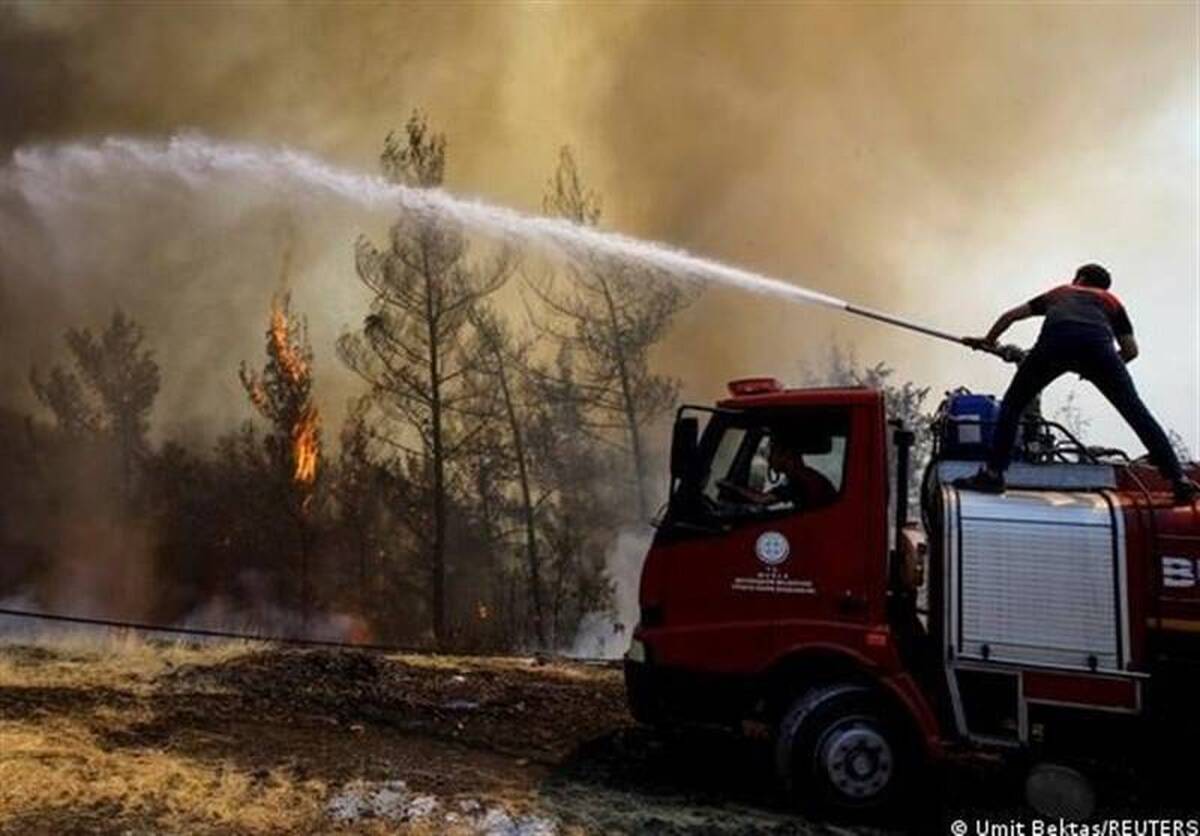 ویدئو| آتش سوزی عظیم جنگلی منچستر