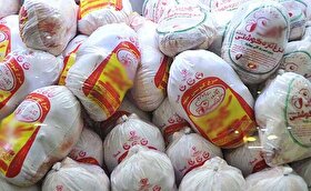 رغبت بیشتر مردم به مرغ منجمد| توزیع هزار و ۷۰۰تن مرغ در مشهد