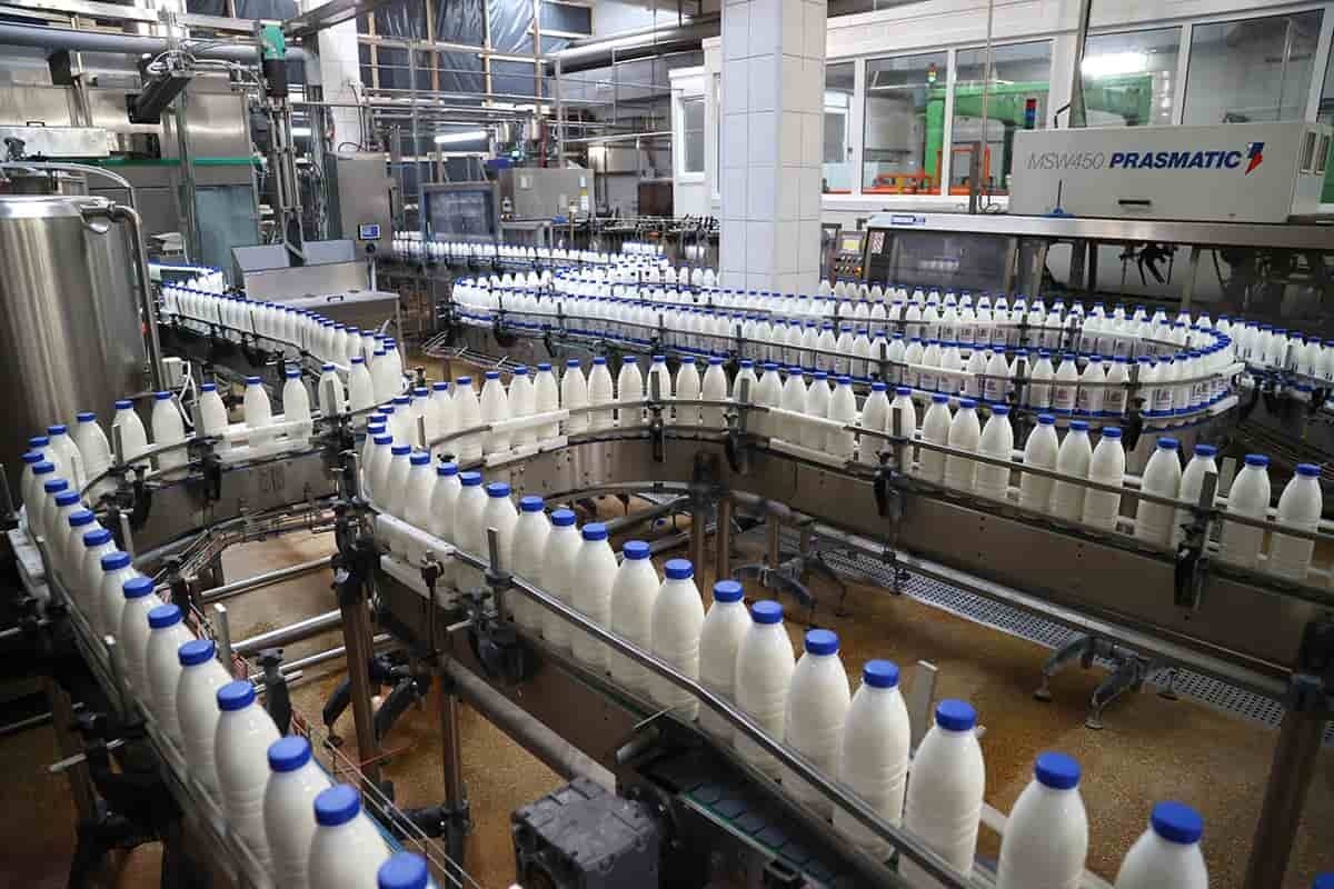 ۷۰ درصد ظرفیت صنایع لبنی خراسان رضوی خالی است | آیا افزودن وایتکس به شیر صحت دارد؟