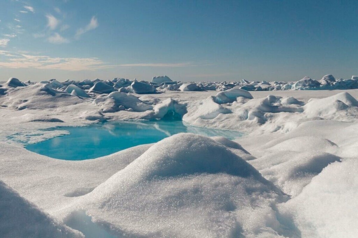 ویدئو| کشف مواد تشکیل‌دهنده کرم ضدآفتاب در قطب شمال