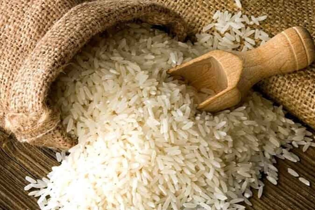 اختصاص ۷۰۰ میلیون دلار ارز به یک شرکت برای واردات برنج تکذیب شد