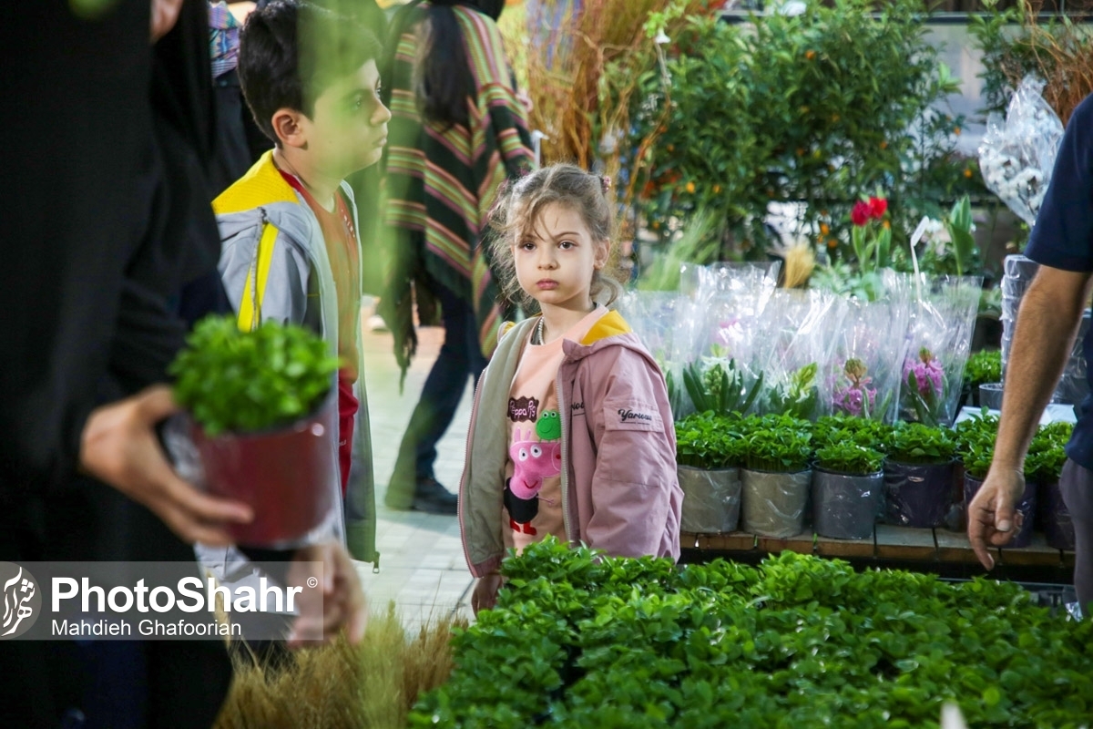 ثبات قیمتی گل در آستانه روز مادر در مشهد | افزایش چند برابری نهاده‌های تولید گل و گیاه