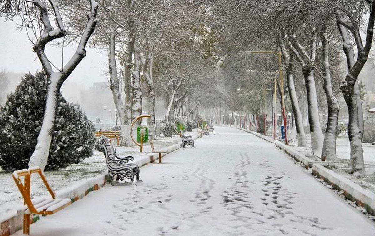 ویدئو| تصاویری از بارش شدید برف در نقاط مختلف شهر مشهد (۱۳ بهمن ۱۴۰۲)