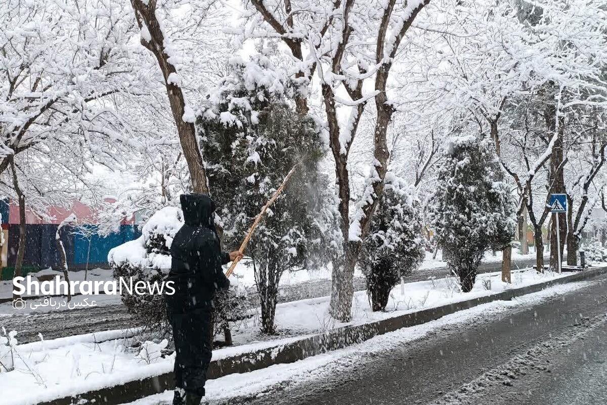 برف تکانی درختان مشهد بعد از بارش سنگین برف (۱۳ بهمن ۱۴۰۲)