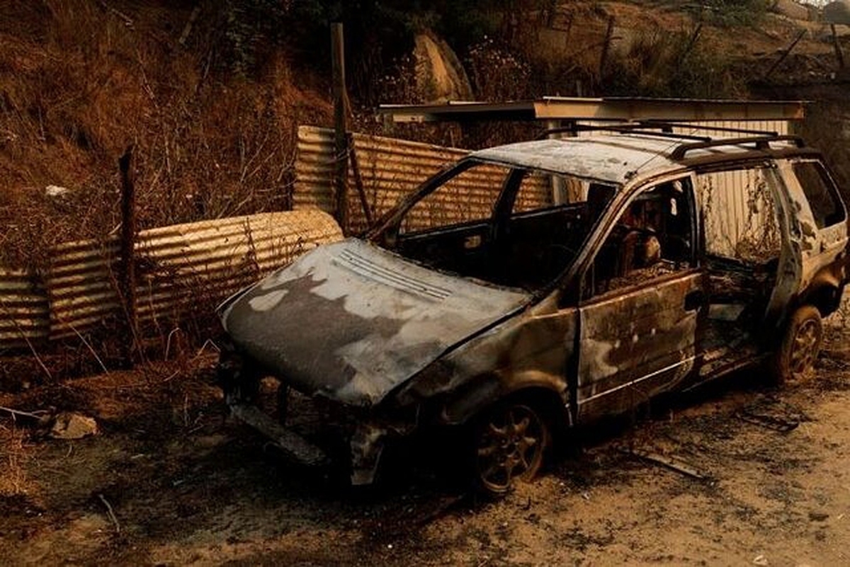 قربانیان آتش‌سوزی‌های جنگلی در شیلی به ۱۲۳ تن رسید + عکس