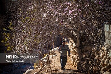 ایران زیباست | بوی بهار در زمستان کویر
