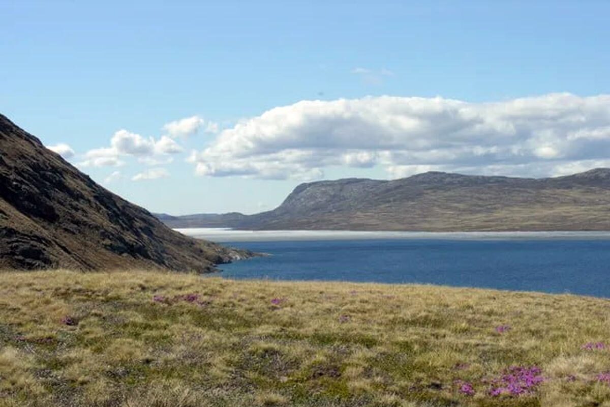 سبز شدن گرینلند پس از حدود ۱۰۰۰ سال چه تاثیری بر کره زمین می‌گذارد؟