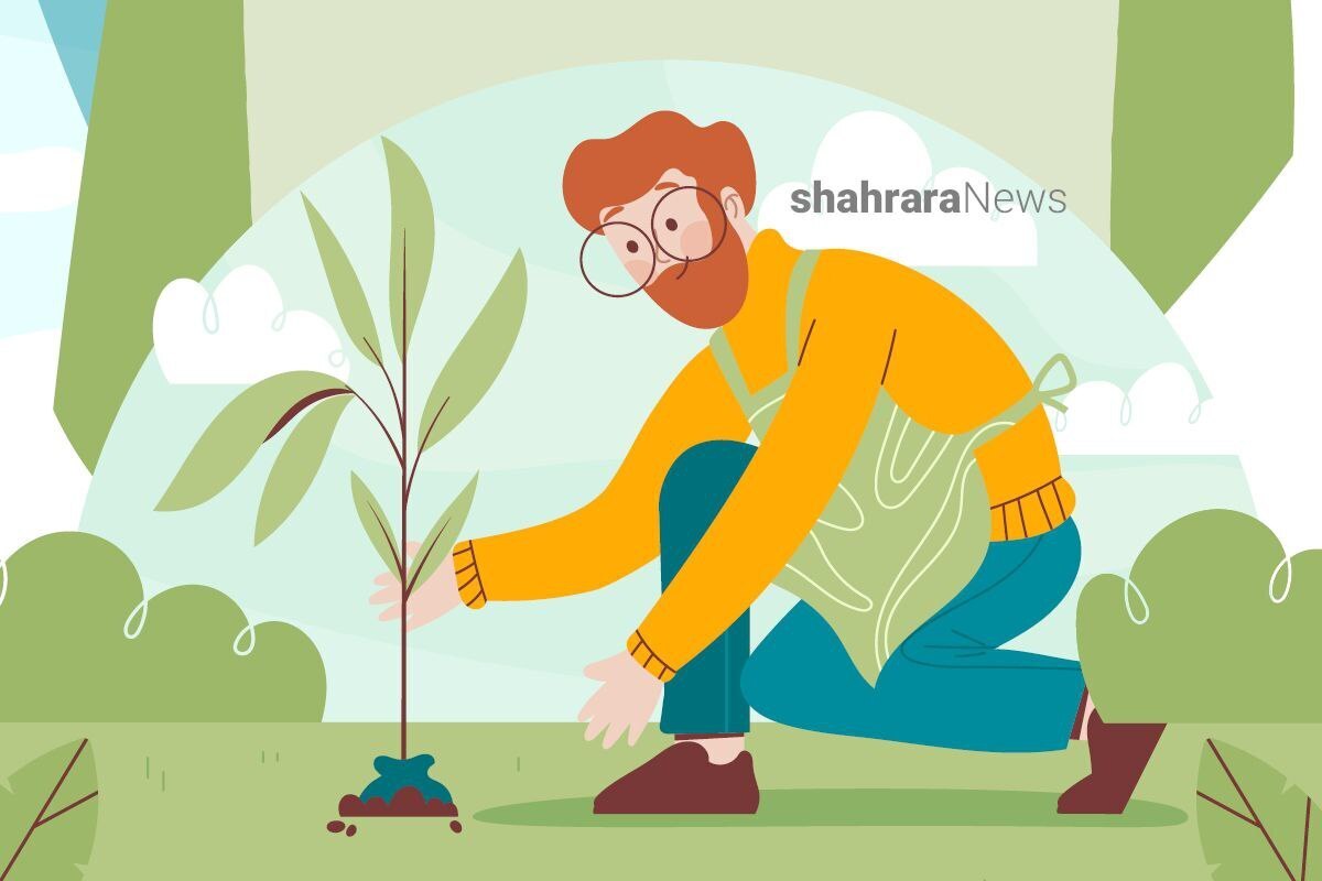 جدول کلمات انگلیسی | روز درختکاری