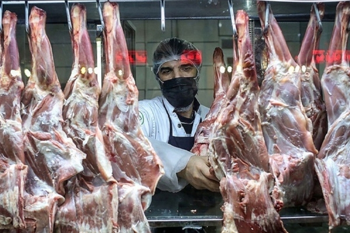پیش‌بینی تامین ۳۰۰۰ تن گوشت منجمد گوساله و گوسفندی در خراسان رضوی