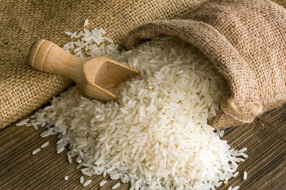 کاهش قیمت برنج ایرانی درجه یک در بهمن ماه ۱۴۰۲