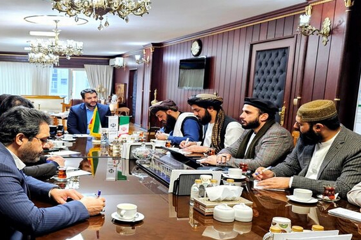 هیات فنی طالبان با دبیر شورای عالی مناطق آزاد ایران دیدار کرد