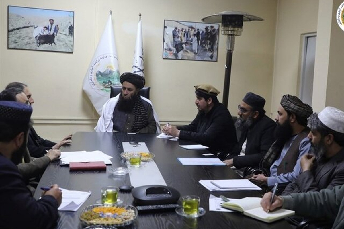 رایزنی ایران و طالبان درباره گسترش همکاری‌ها در حوزه کشاورزی