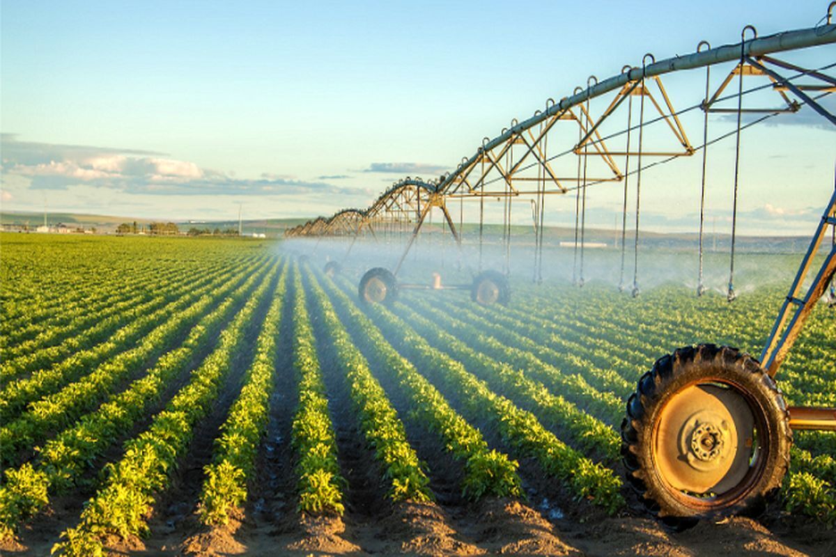 صرفه جویی ۱۰ تا ۱۵ درصدی مصرف آب در بخش کشاورزی خراسان رضوی