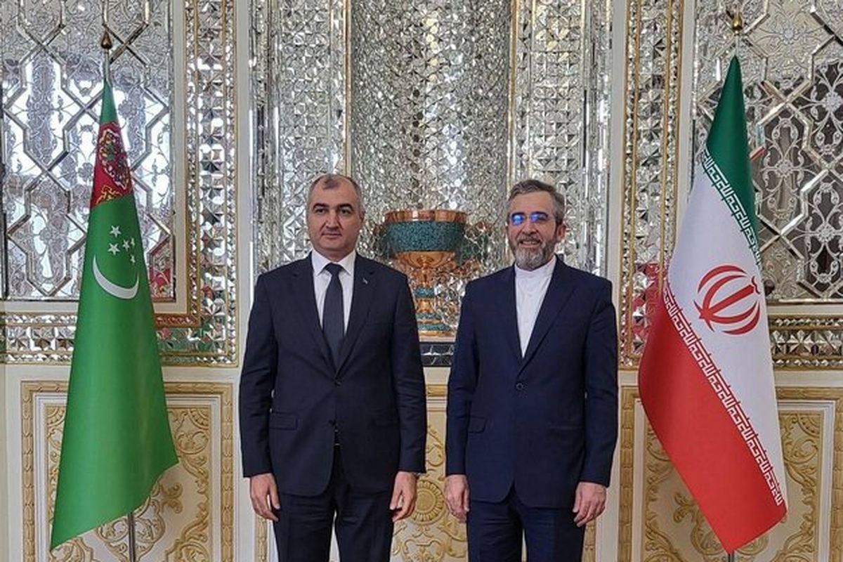 دیدار معاون وزیر خارجه با همتای ترکمنستانی خود