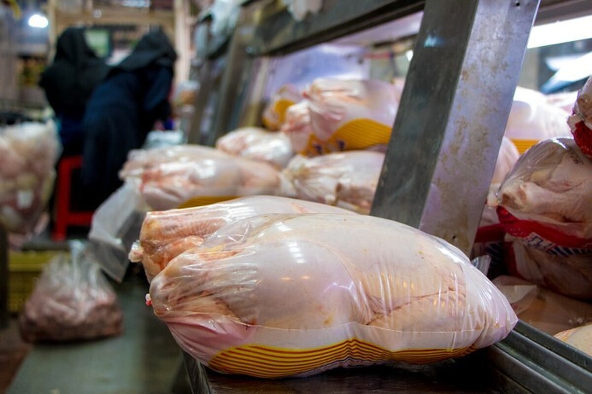 قرارداد خرید آتی تولید مرغ به استان‌ها ابلاغ شد