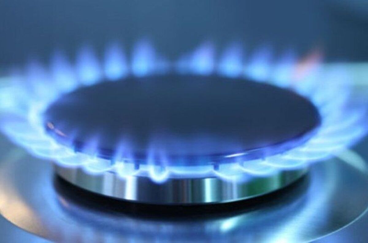 تذکر نمایندگان به وزیر نفت نسبت به رسیدگی به افزایش غیرقابل قبول قیمت گاز