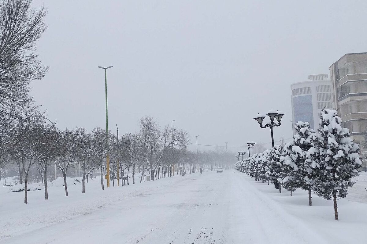 ویدئو| تصاویری از بارش برف بهاری در مشگین‌شهر اردبیل