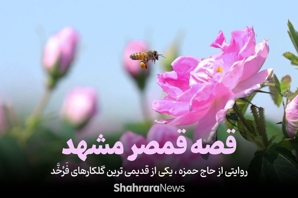 ویدئو | روایتی از حاج حمزه، یکی از قدیمی‌ترین گلکارهای فرخّد | قصه قمصر مشهد