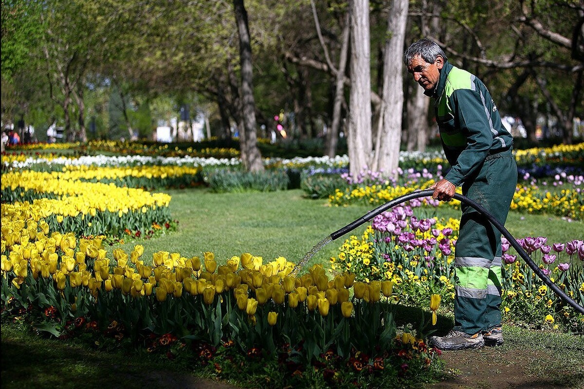 ۹۸درصد آبیاری فضای سبز شهری در مشهد با آب غیرشرب است