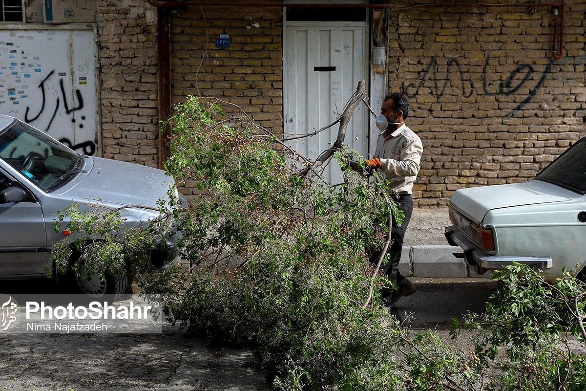 سقوط ۱۷ اصله درخت بر روی خودرو‌ها در پی طوفان امروز مشهد (۲۳ اردیبهشت ۱۴۰۲)