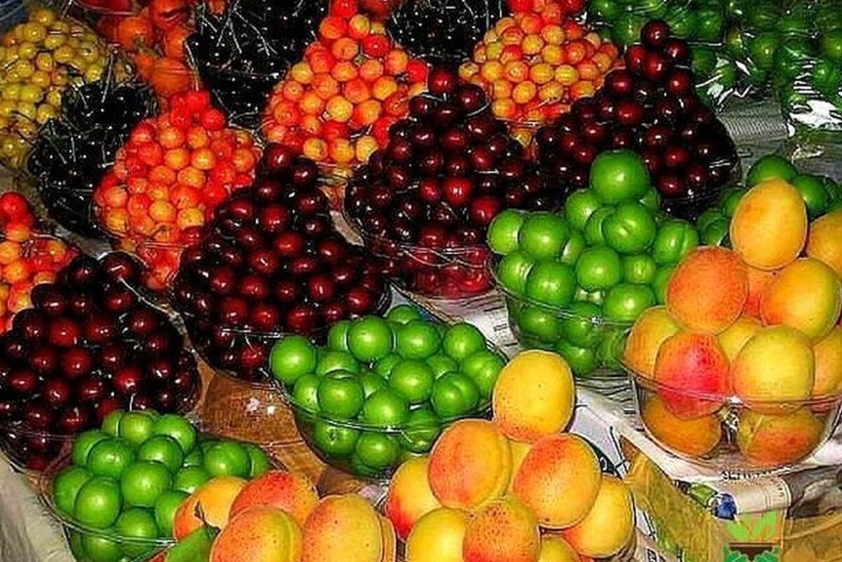 قیمت نوبرانه میوه‌های بهاری در مشهد چند؟ | افزایش دو برابری قیمت هندوانه طی یک هفته