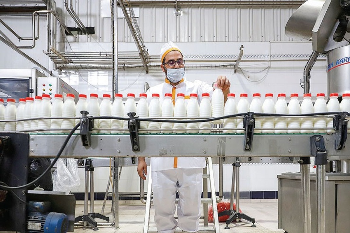 کارخانه‌های لبنی خواستار افزایش ۳۰ درصدی نرخ محصولات خود شدند | قیمت شیر سر رفت