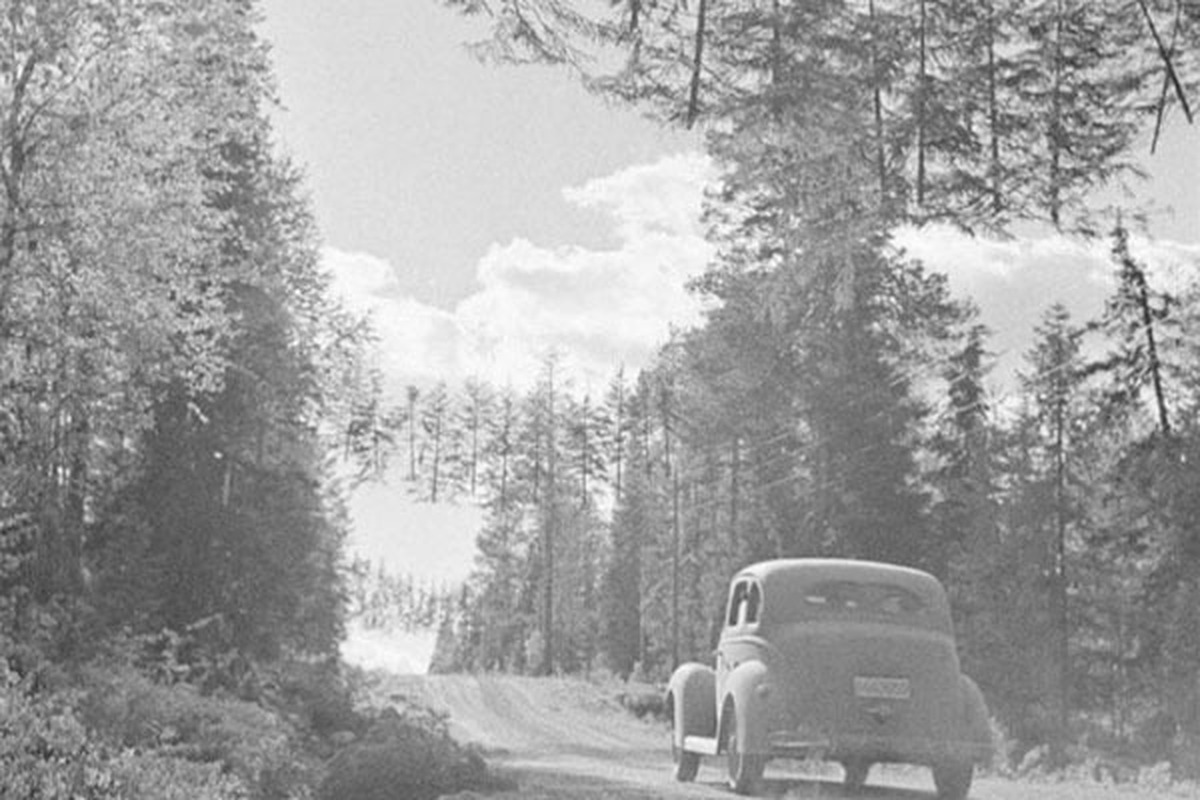 ماجرای عکس عجیب از درختان معلق در جنگ جهانی دوم چیست؟ + تصاویر