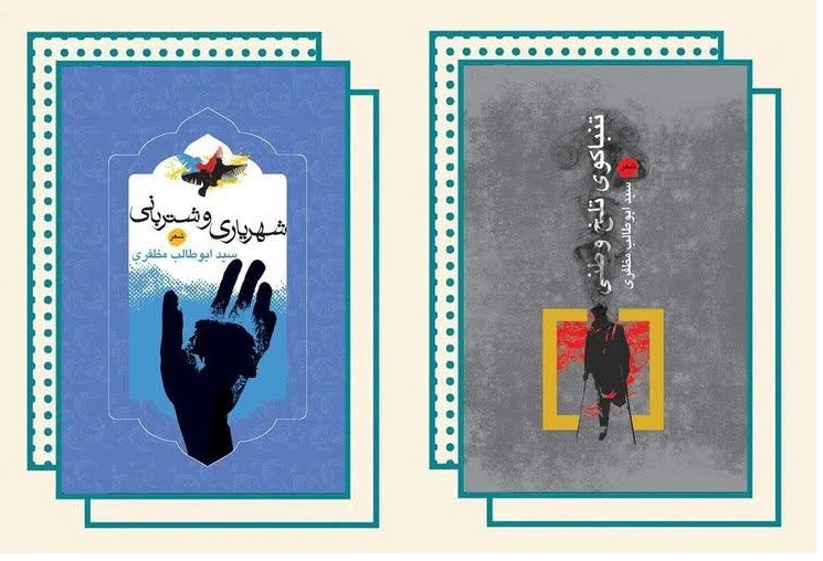 نگرانی‌های شاعر مهاجر افغانستانی از فارسی ستیزی در منطقه: درباره زبان فارسی کم‌کاری شده است