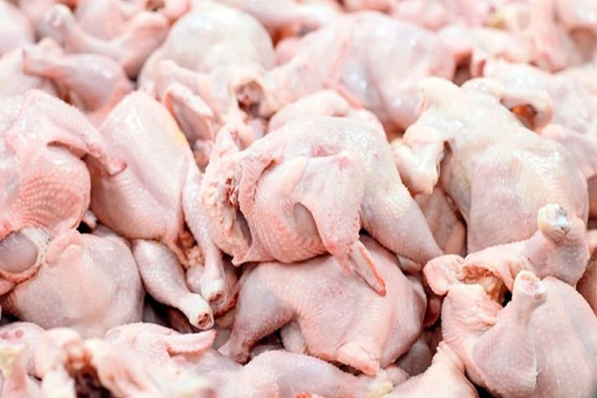 عرضه ۲۰۰ تن مرغ در بازار مشهد
