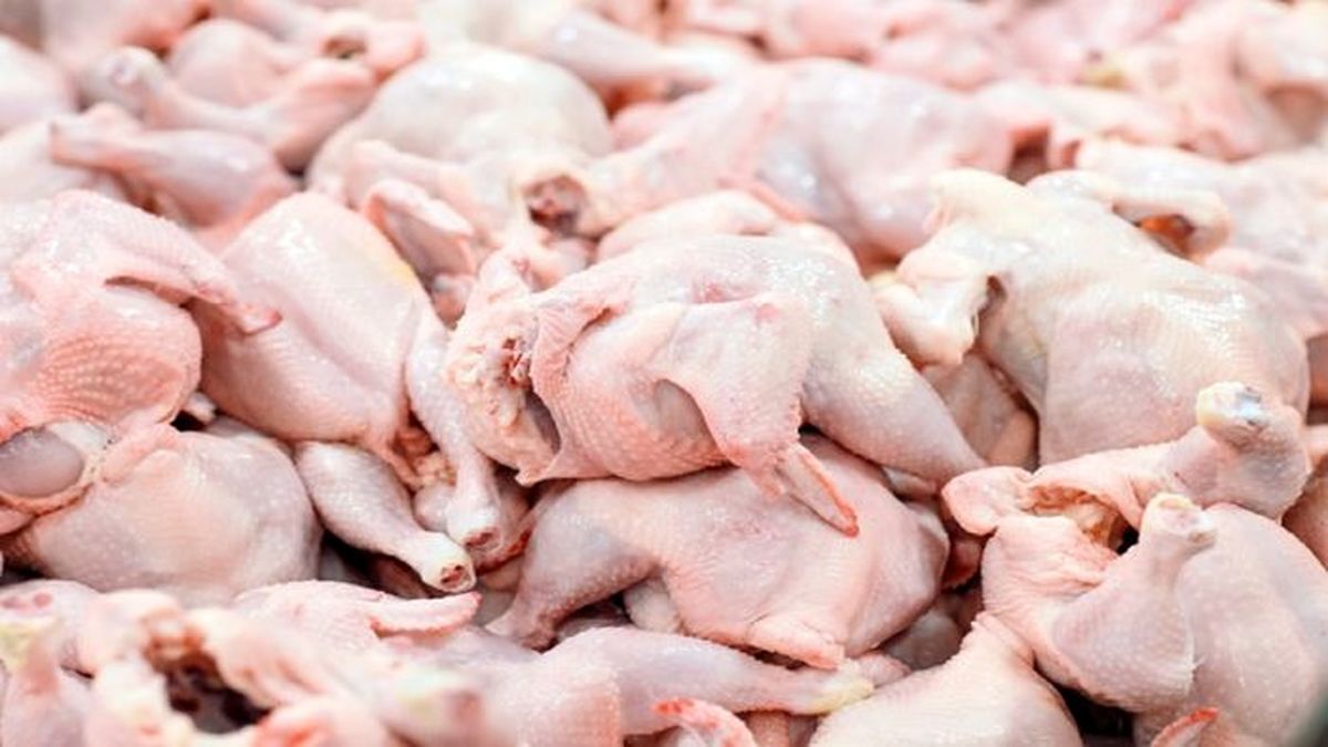 نماینده مجلس: کاهش جوجه‌ریزی در اسفند ۱۴۰۱ کمبود گوشت مرغ را رقم زد
