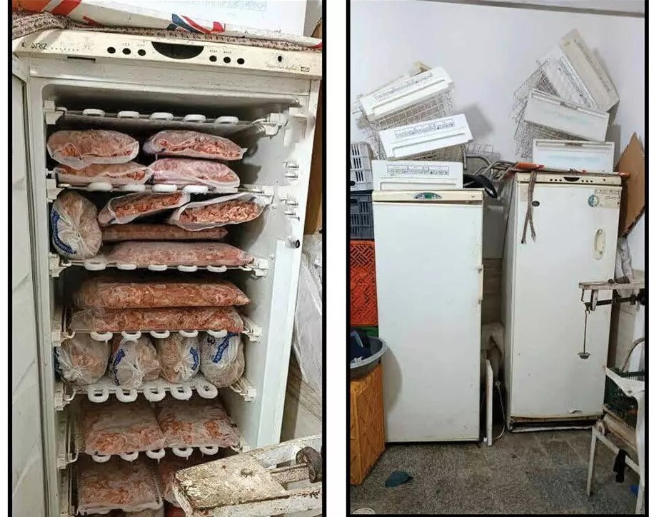 مردی با فروش گوشت‌های آلوده در مشهد میلیاردر شد + عکس