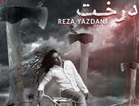 قطعه موسیقی جدید رضا یزدانی با نام «درخت» منتشر شد + دانلود آهنگ