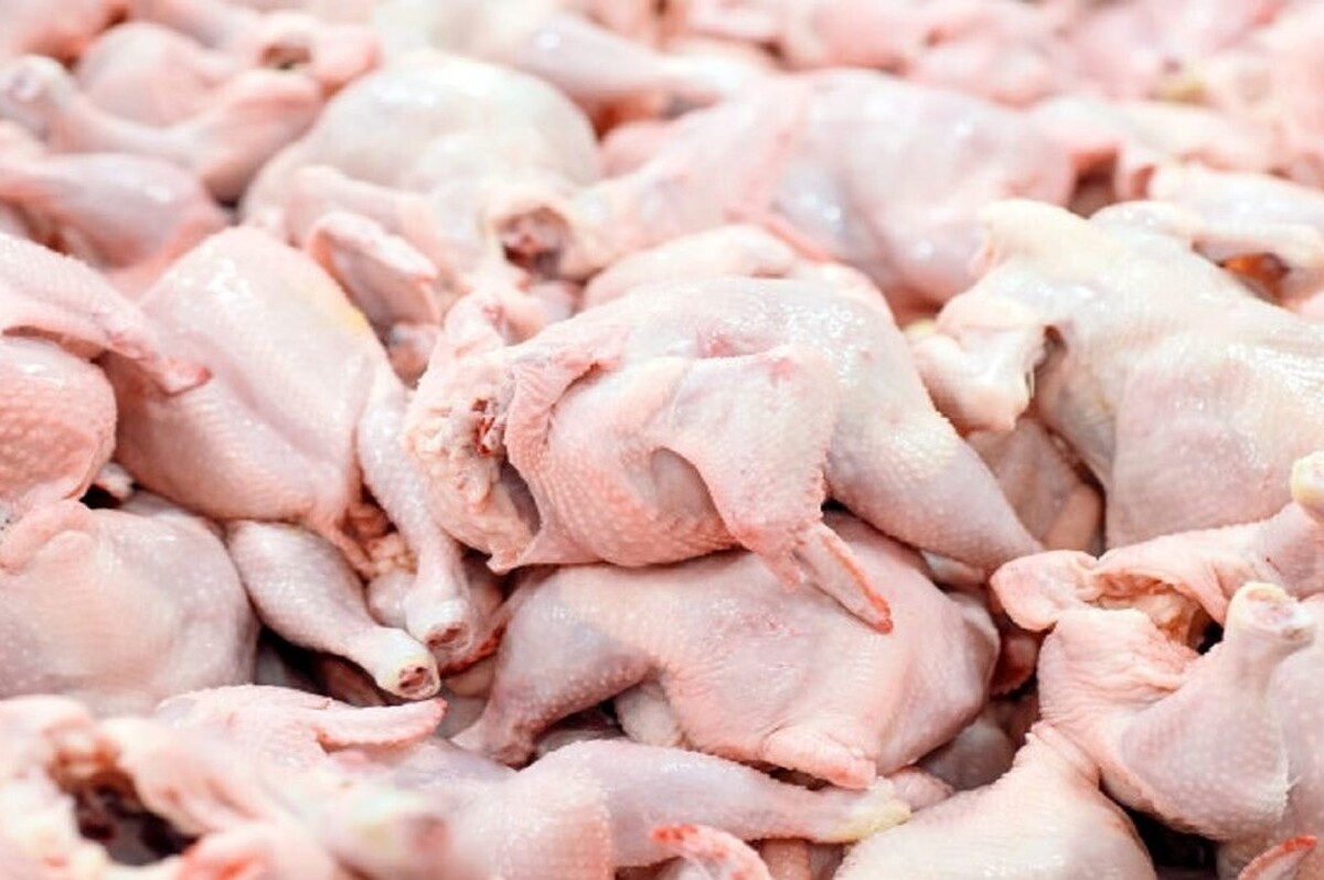 میزان کشتار مرغ در خراسان رضوی، بیش از نیاز بازار است
