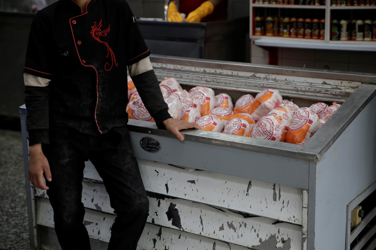 ۵۰ درصد کشتار روز مرغ خراسان رضوی در بازار مشهد توزیع می‌شود