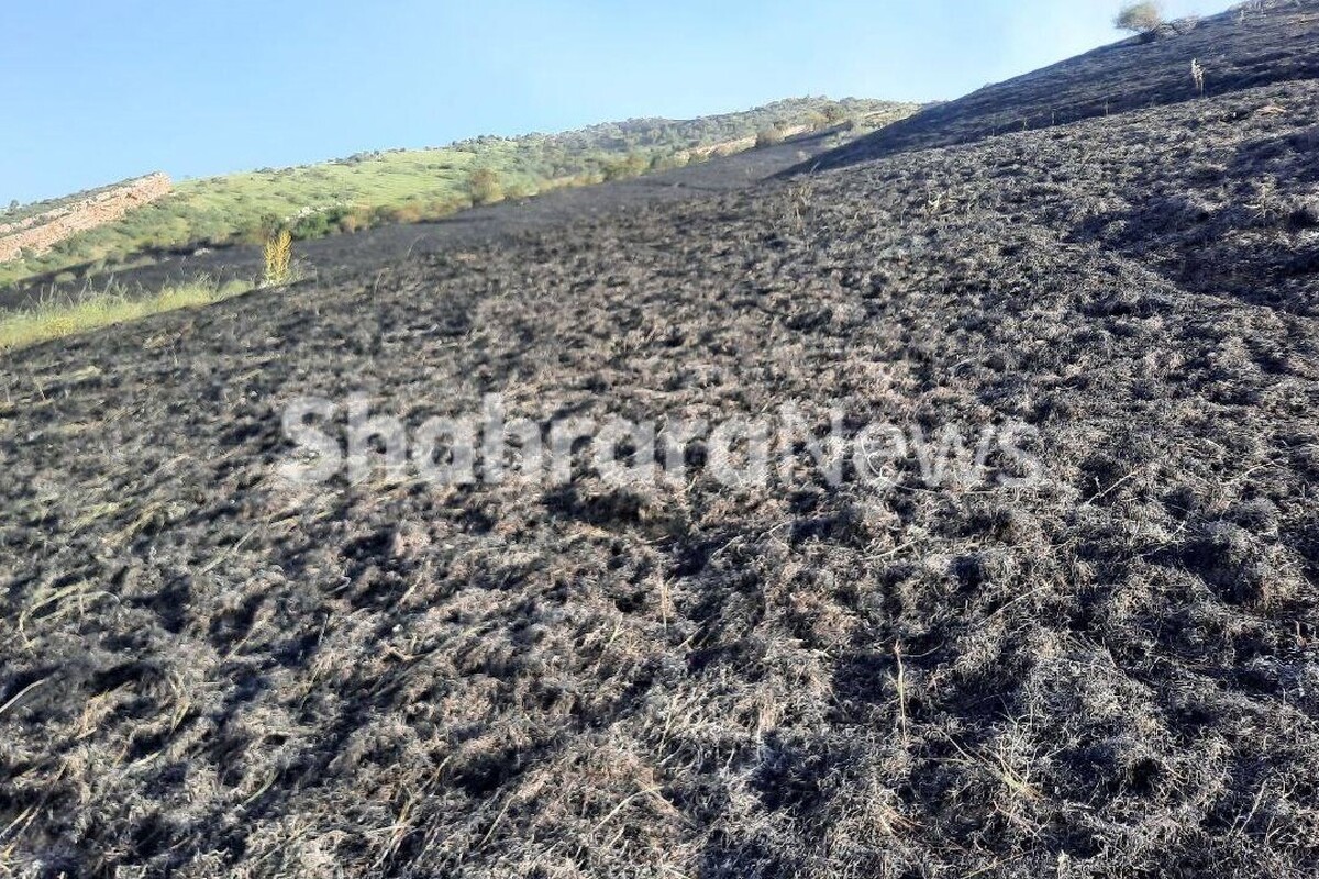 آتش ۸۰ هکتار از مراتع کلات در خراسان رضوی را در بر گرفت