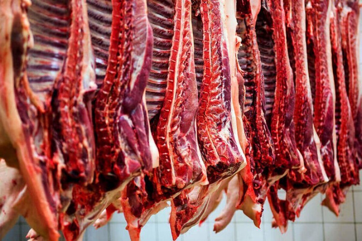 هفته آینده گوشت قرمز به کشور وارد خواهد شد