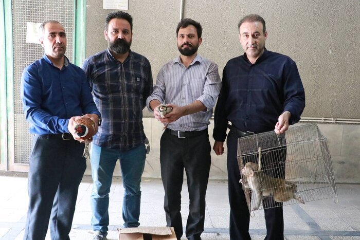 کشف چند حیوان وحشی توسط یگان حفاظت محیط زیست در مشهد
