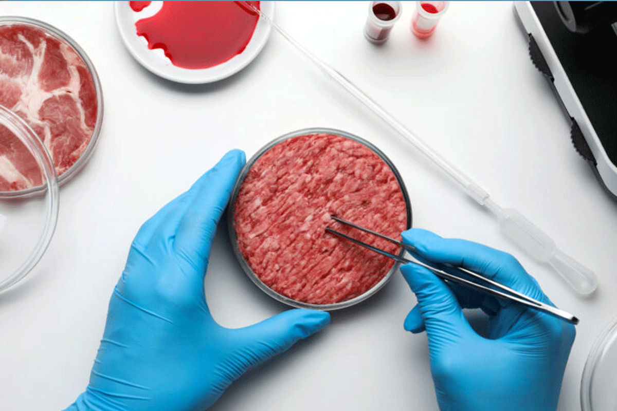 وزارت کشاورزی آمریکا فروش گوشت آزمایشگاهی را مجاز اعلام کرد