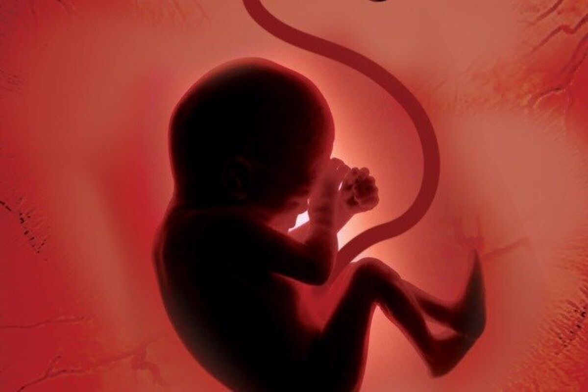 «سقط جنین» فقط با مجوز پزشکی قانونی و رأی قاضی امکان‌پذیر است + فیلم
